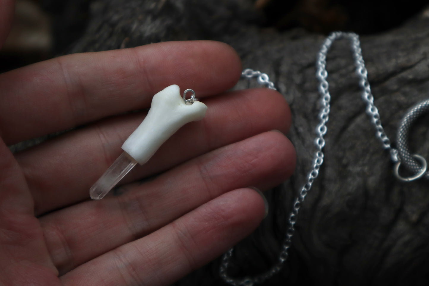 Reserved for Ashley - Two Domestic Cat Tibia Pendulum with Ouroboros Ring