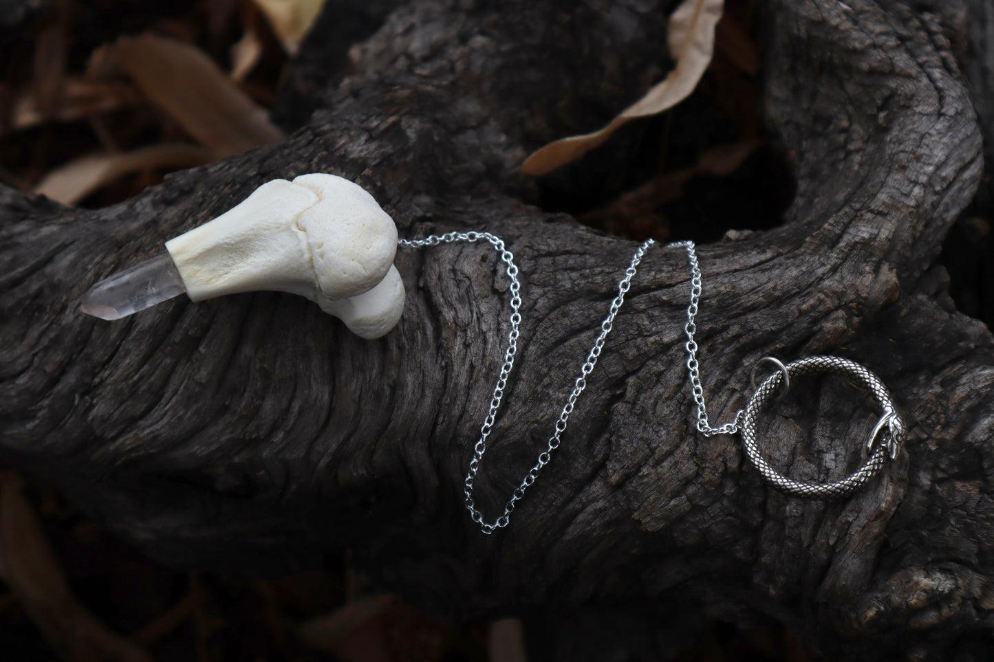 Whitetail Fawn Femur Pendulum with Ouroboros Ring