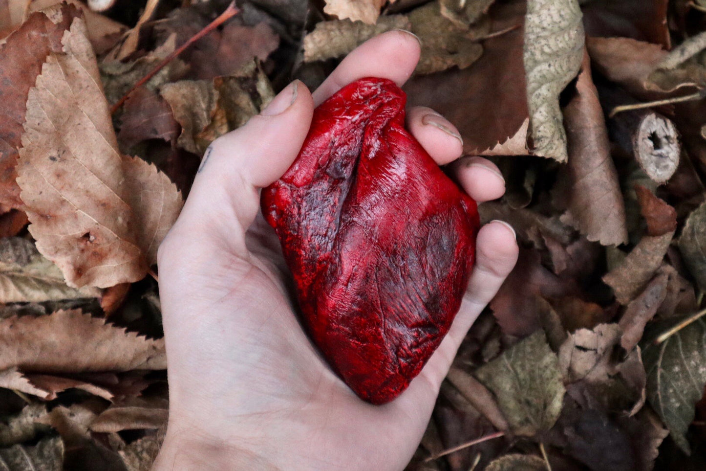 Dry Preserved Lamb Heart