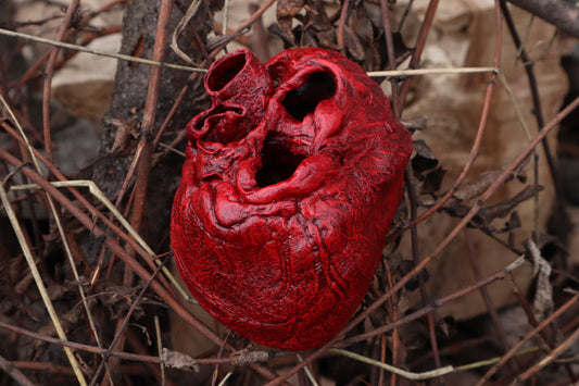Dry Preserved Gray Wolf Heart