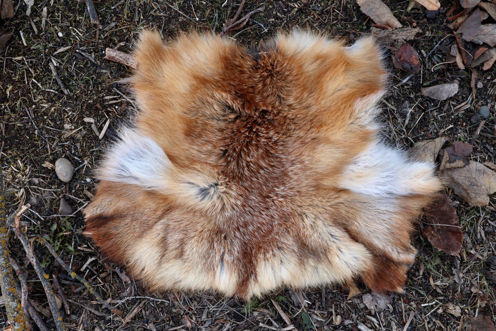 Red Fox Pelt - Double Bend