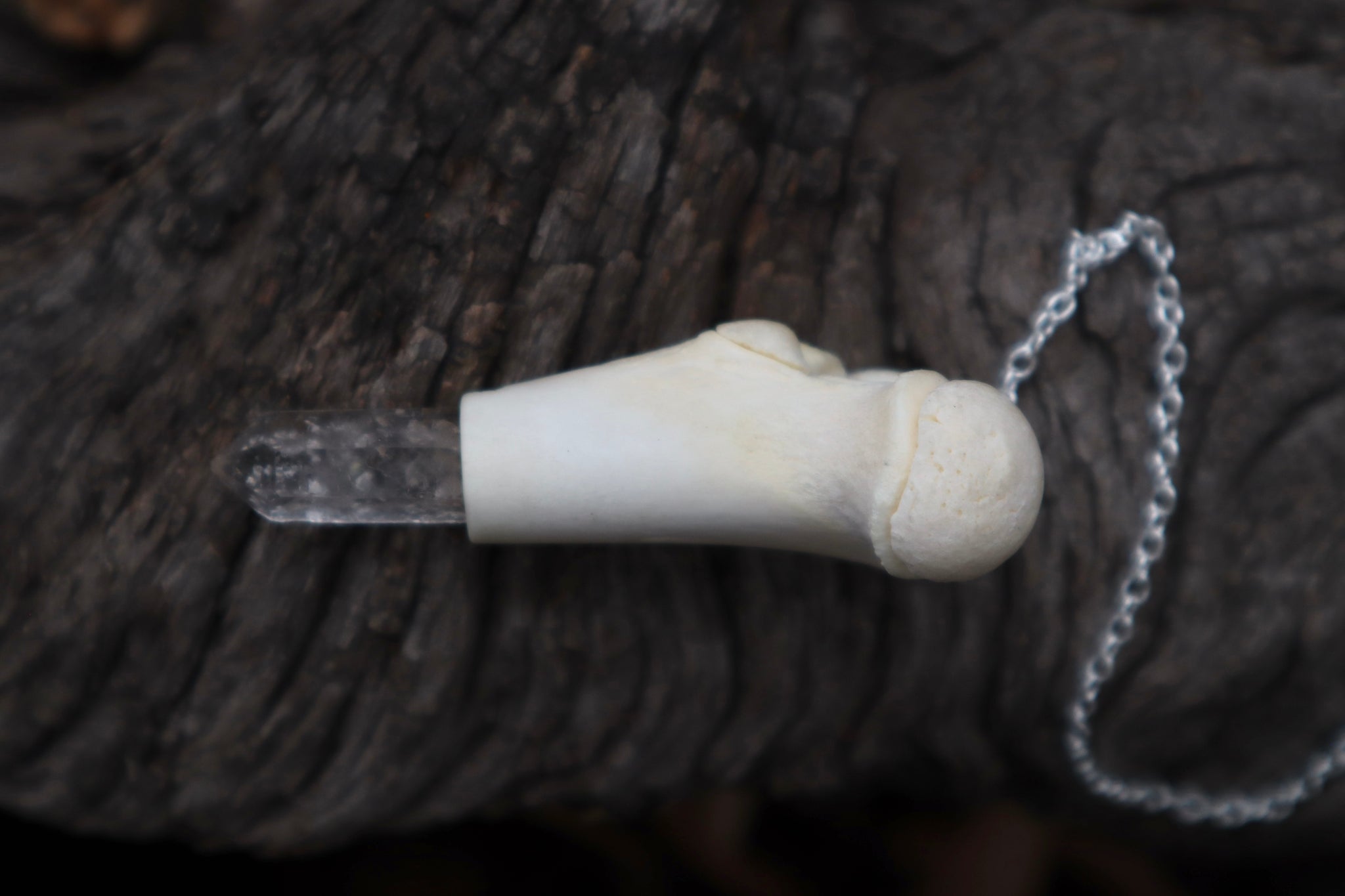 Whitetail Fawn Femur Pendulum with Ouroboros Ring