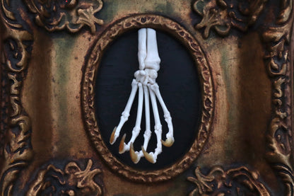 Raccoon Paw Articulation with Crystal Ball