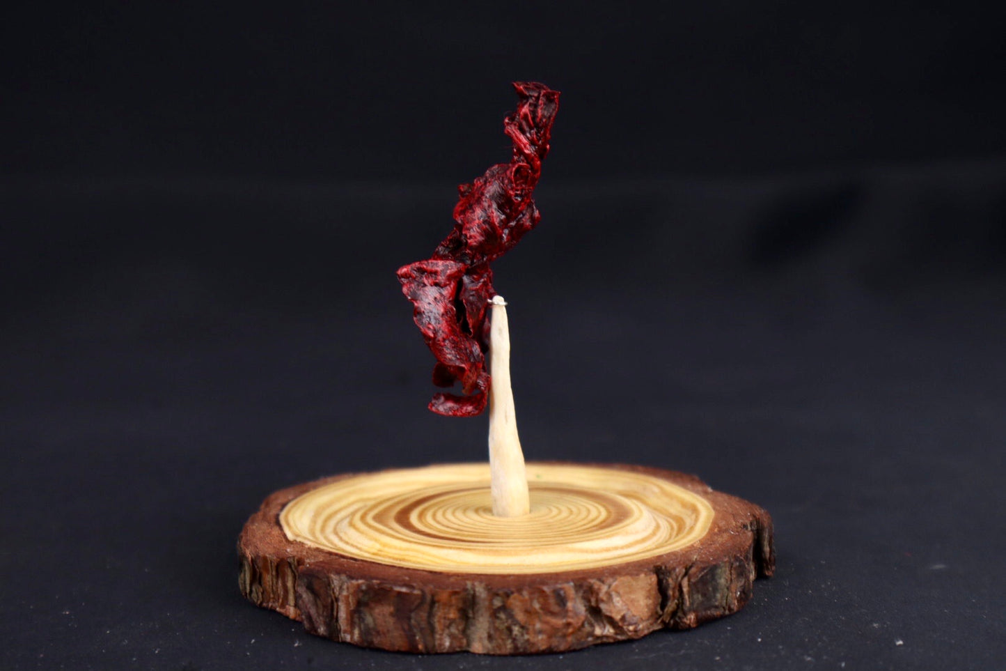 Dry Preserved Kitten Lungs in Glass Dome