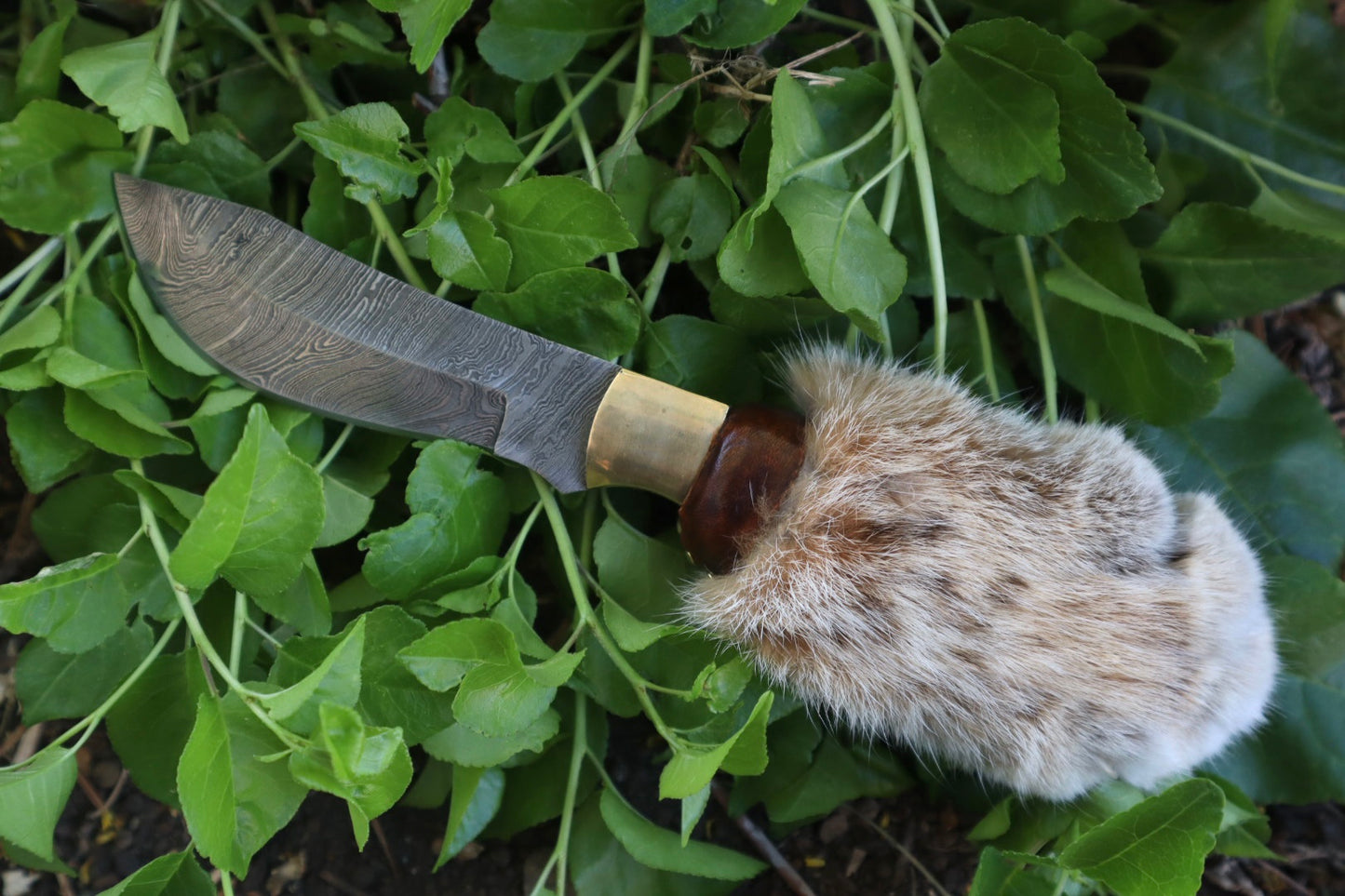 Reserved for Ryan Conner - Custom Damascus Bobcat Paw Knife with Leather Sheath