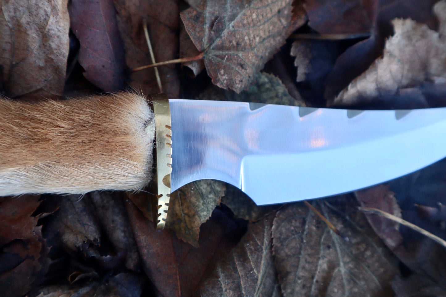 Coyote Paw Knife