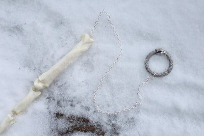Mountain Lion Toe Pendulum with a Amazonite Point