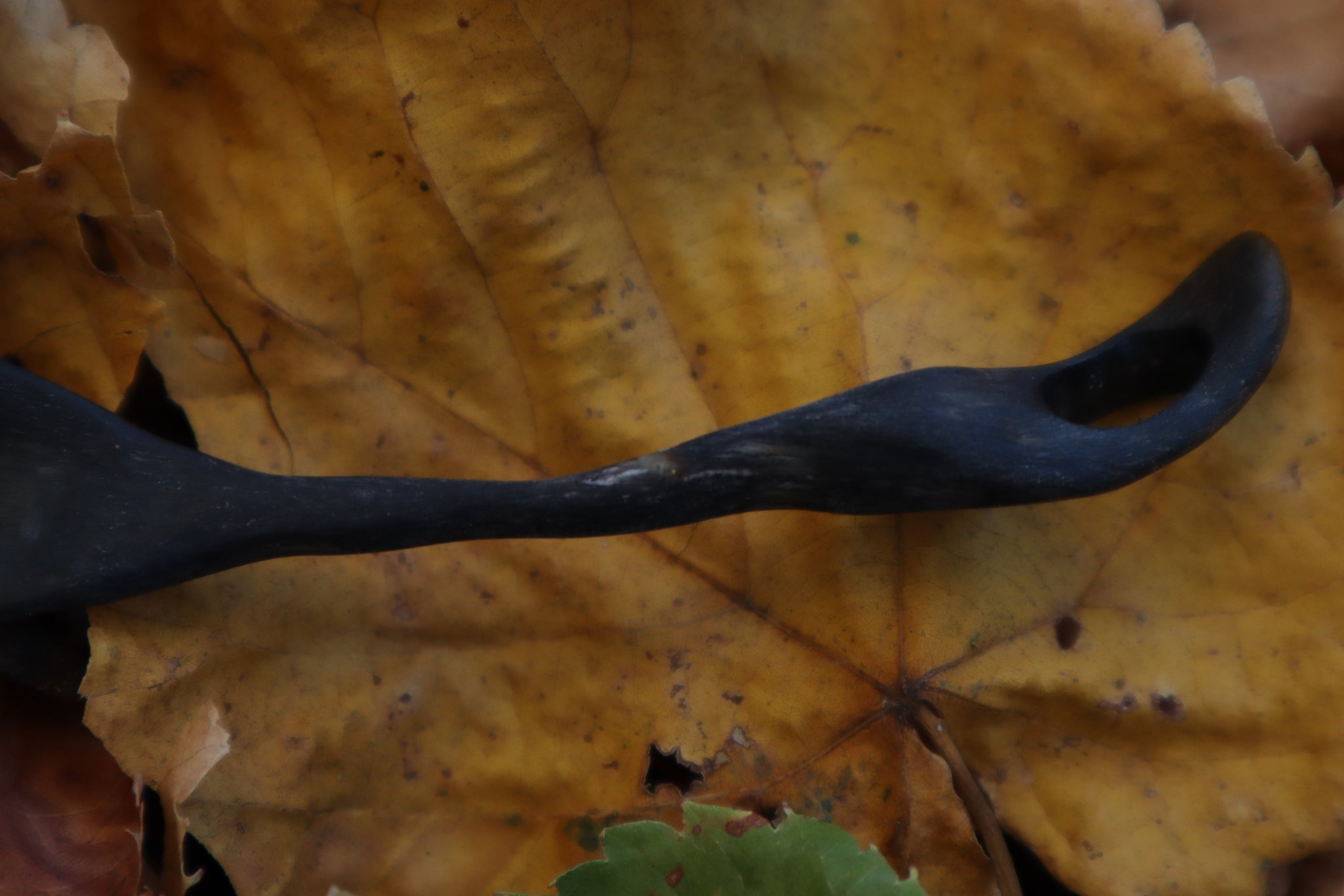 The Ladle of Light - Goat Horn Offering Spoon