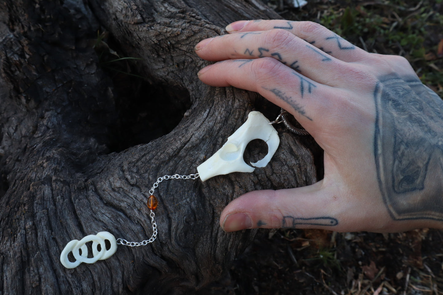 Reserved for Amanda - Domestic Cat Pelvis Trinity Sculpture