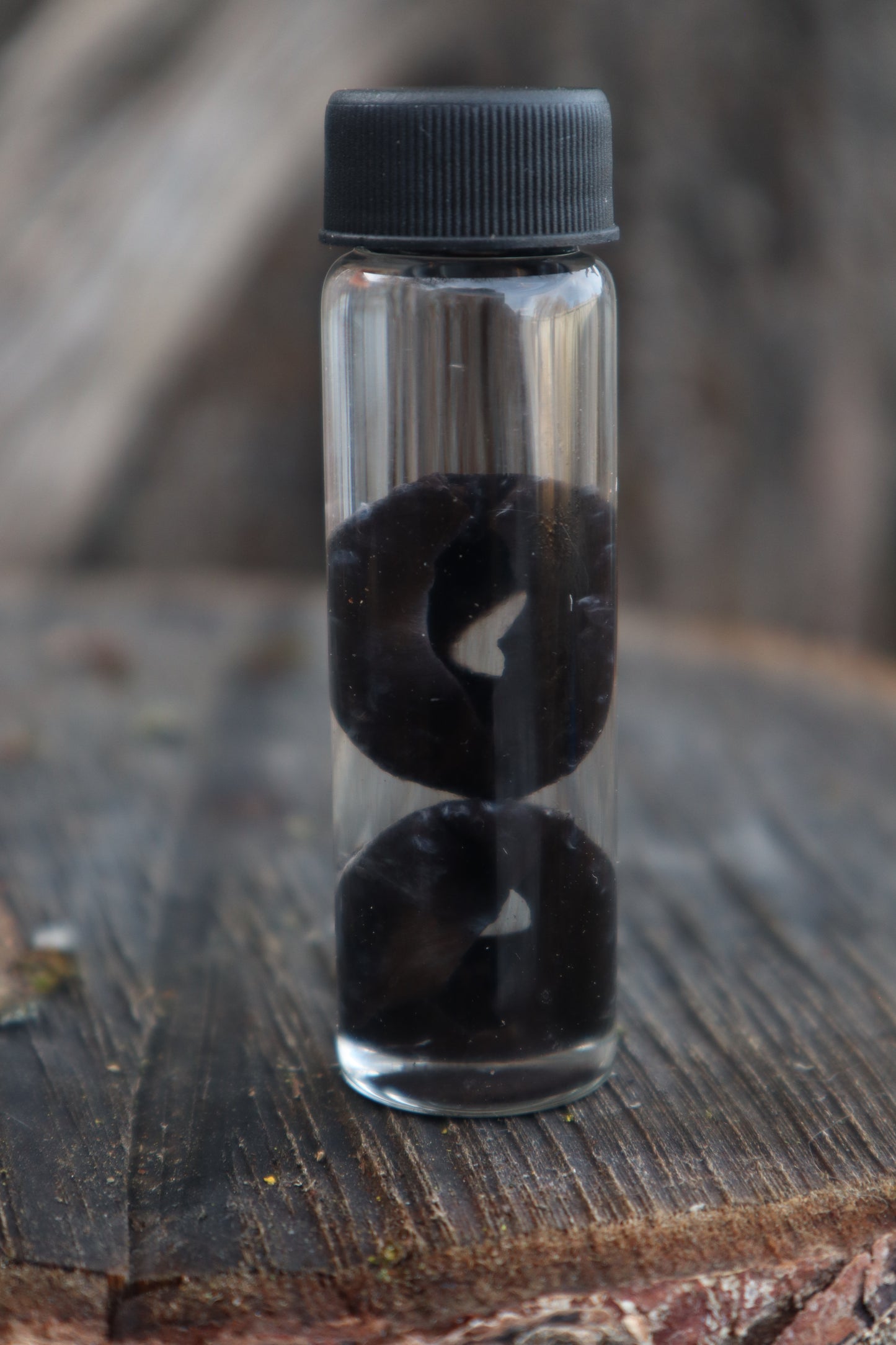 Reserved for Emily - Black Wolf Eyeballs and Tongue