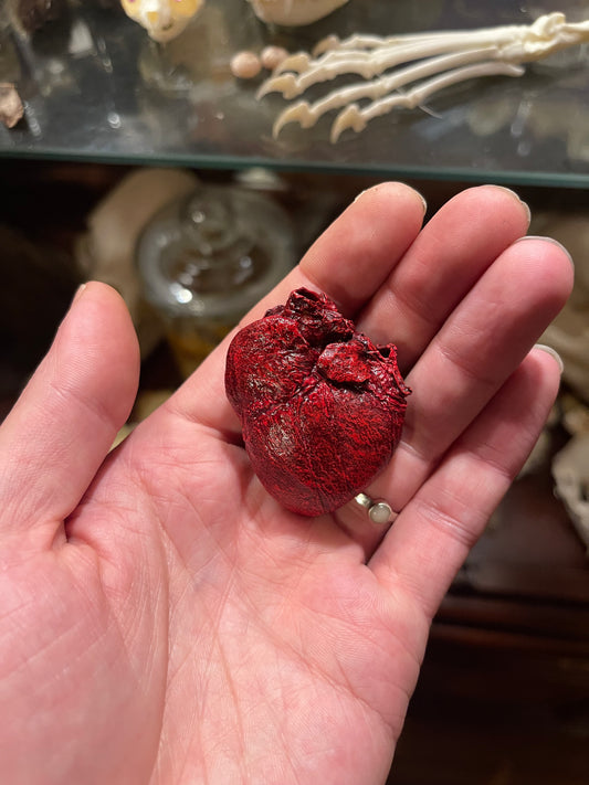 Reserved for Katie - Dry Preserved Red Fox Heart