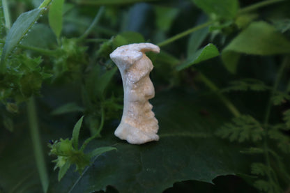Gray Wolf Bone Monk Sculpture
