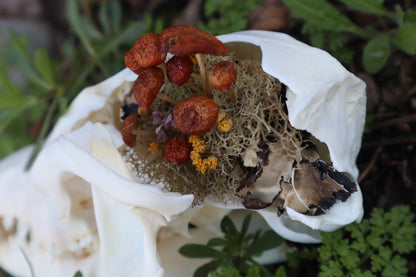Reserved for Skye - Red Fox Mushroom Skullpture