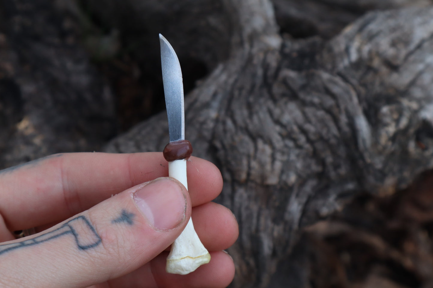 Kitten Tibia Knife