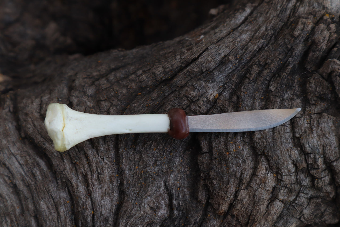 Kitten Tibia Knife
