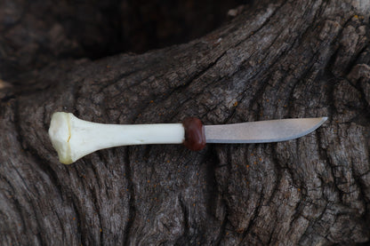 Kitten Tibia Knife