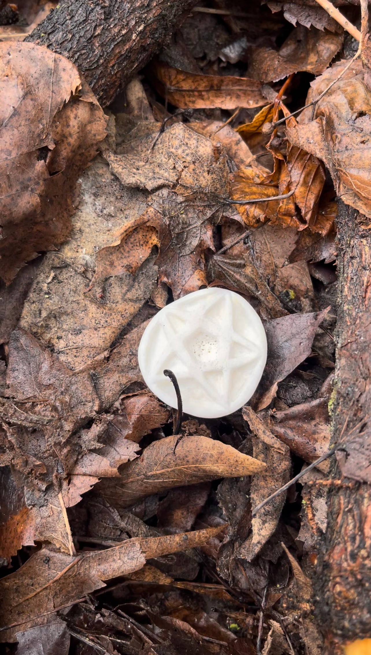 Reserved for Lindsey - Elk Bone Pentacle