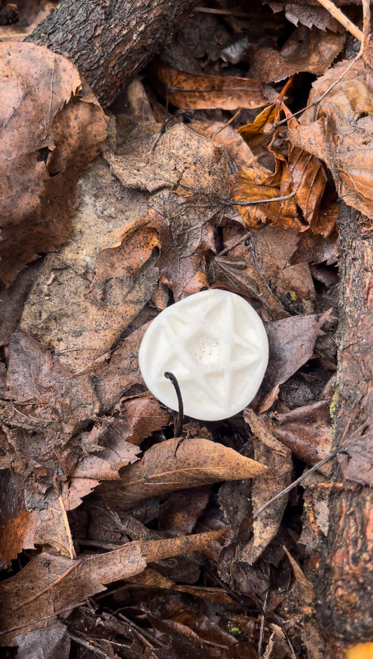 Reserved for Lindsey - Elk Bone Pentacle