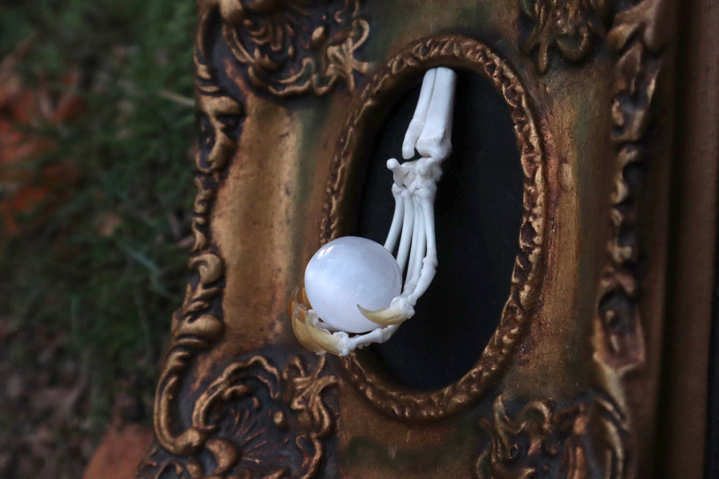 Raccoon Paw Articulation with Crystal Ball