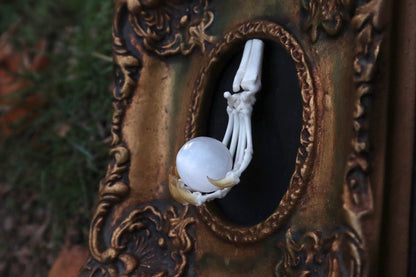 Raccoon Paw Articulation with Crystal Ball
