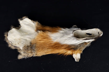 Gray Fox Face/Cape