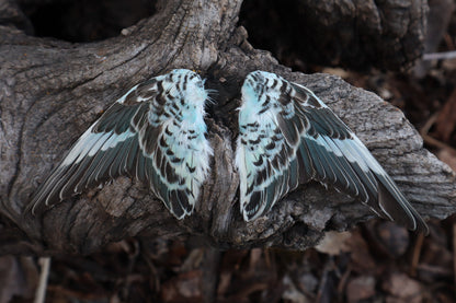 Dry Preserved Parakeet Wings