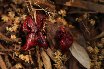 Reserved for Brandon - Dry Preserved Whitetail Fawn Heart and Kitten Heart and Lungs