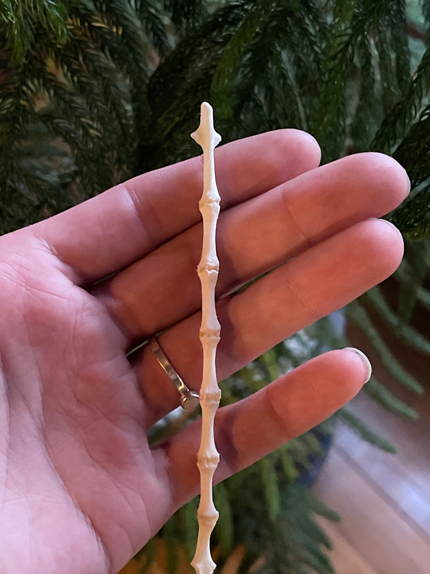 Reserved for Erin - Articulated Red Fox Sternum