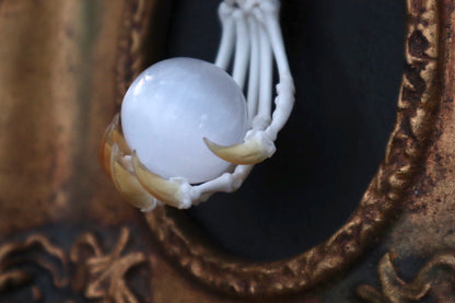 Raccoon Paw Articulation with Crystal Ball
