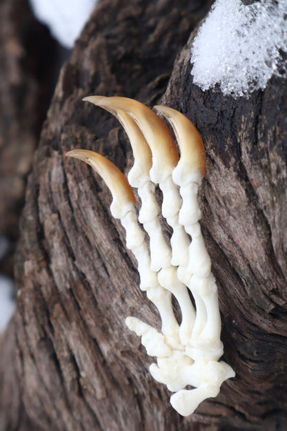 Porcupine Paw Articulation