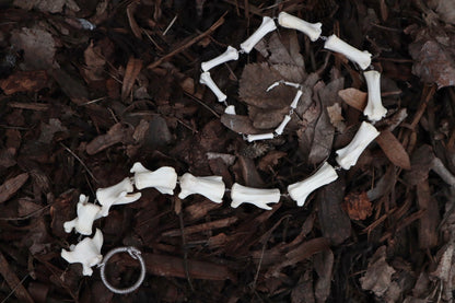 Pathological Fluid Mountain Lion Tail Articulation with Ouroboros Ring