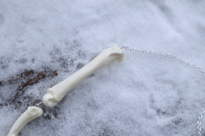 Mountain Lion Toe Pendulum with an Amethyst Point