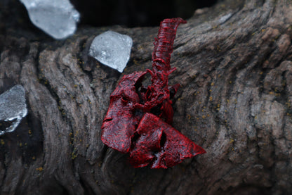 Dry Preserved Cottontail Rabbit Heart and Lungs