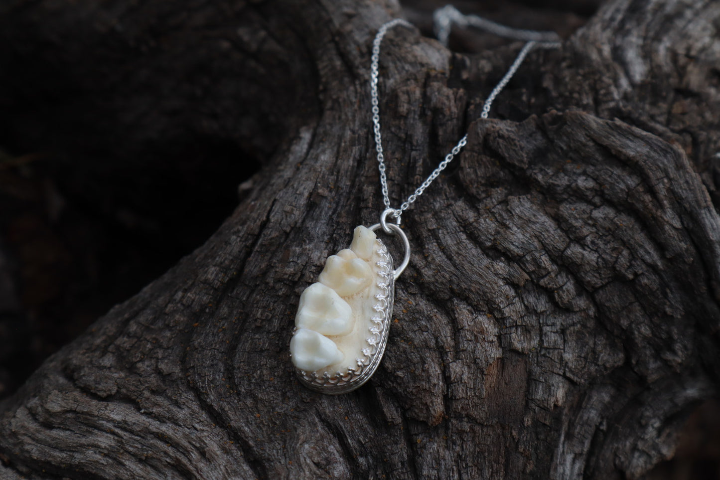 Reserved for Cora - Raccoon Skull Fragment Necklace - .925 Sterling Silver