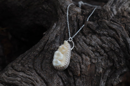 Reserved for Cora - Raccoon Skull Fragment Necklace - .925 Sterling Silver
