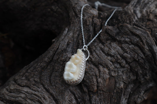Reserved for Cora - Raccoon Skull Fragment Necklace - .925 Sterling Silver