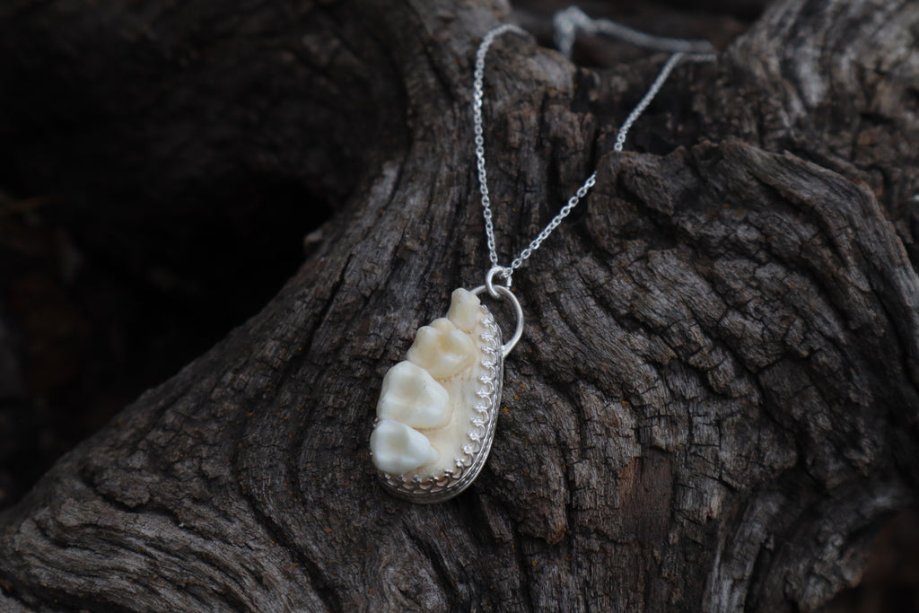 Reserved for Cora - Raccoon Skull Fragment Necklace - .925 Sterling Silver