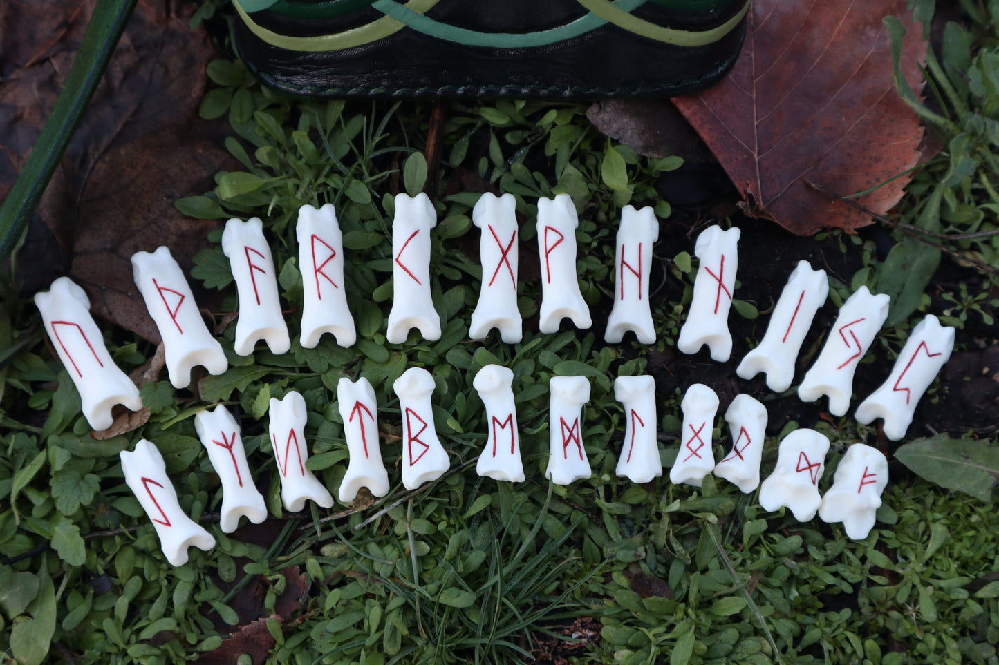 Reserved for Molly - Mountain Lion Bone Elder Futhark Rune Set