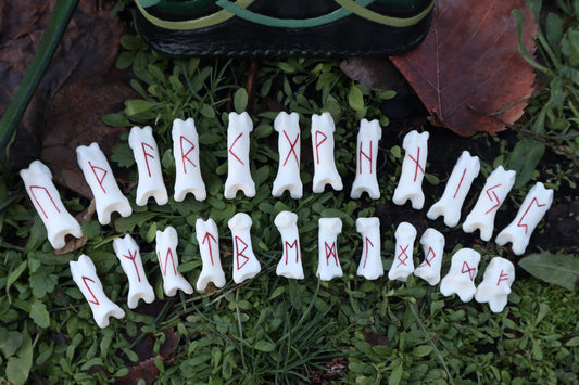 Reserved for Molly - Mountain Lion Bone Elder Futhark Rune Set