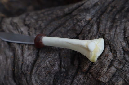 Kitten Tibia Knife