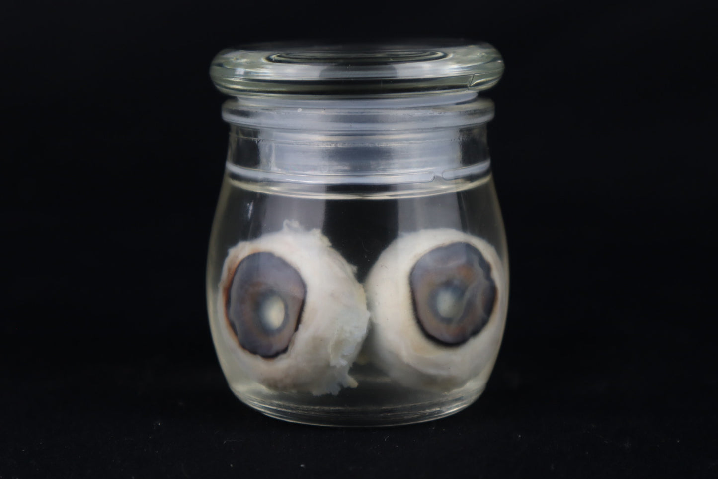 Reserved for Fabled Oddities  -  Wet Specimen Gray Wolf Eyeballs