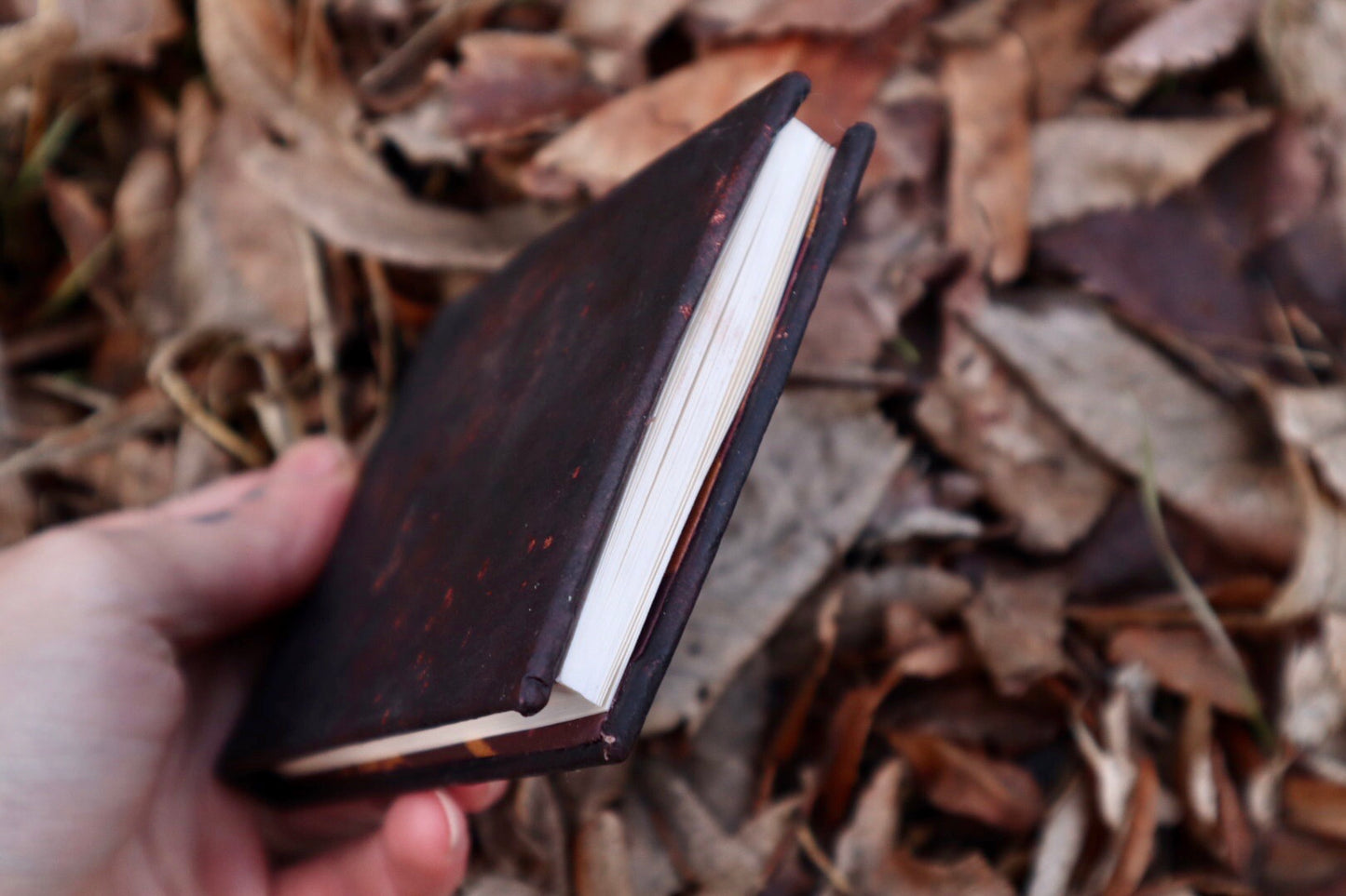 Gray Fox Leather Bound Journal