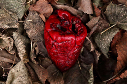 Dry Preserved Lamb Heart