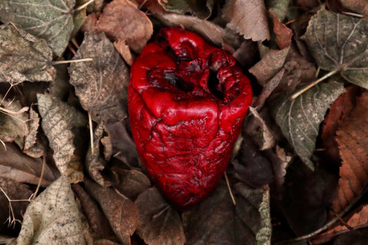 Dry Preserved Lamb Heart