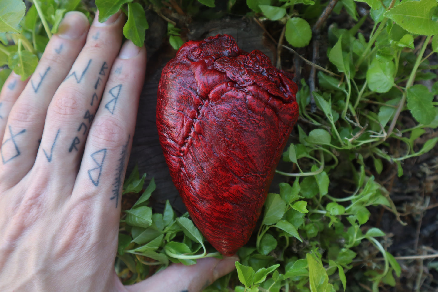 Reserved for Vinette - Dry Preserved Whitetail Deer Heart