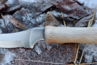 Coyote Paw Knife