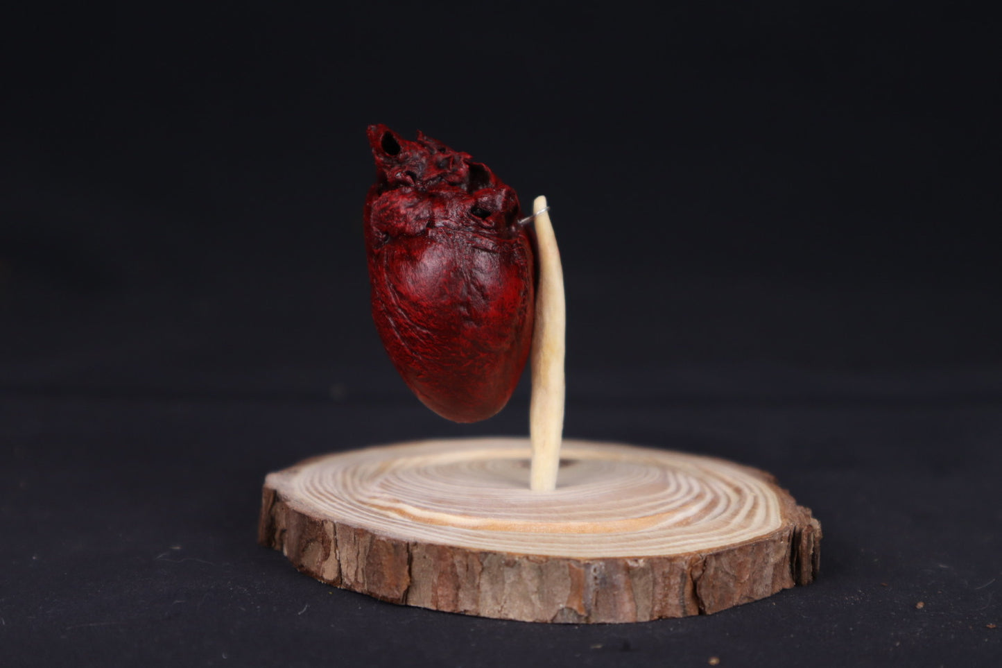 Reserved for Sam - Dry Preserved Red Fox Heart in Glass Dome