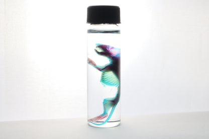 Reserved for Gabi - Diaphonized Baby Mouse