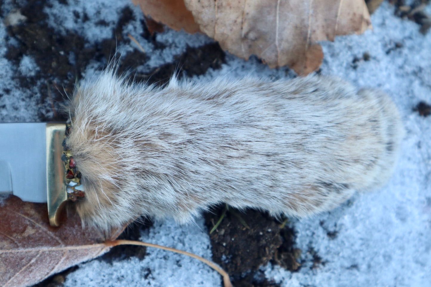 Bobcat Paw Knife