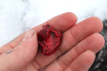 Dry Preserved Chicken Heart